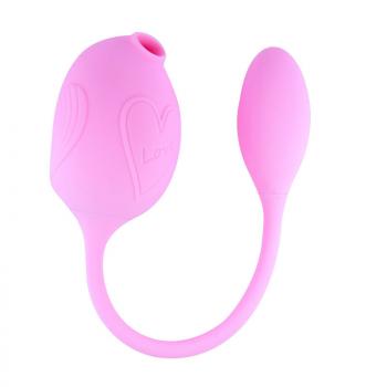 Mobile phone remote control dolphin suction double head vibrator